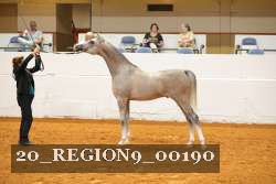 20_REGION9_00190 proof