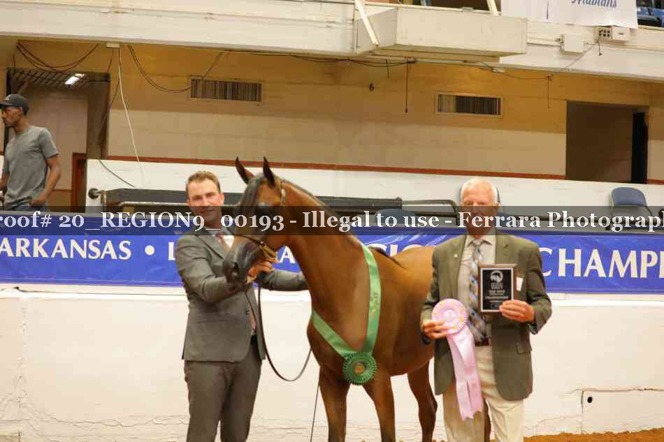 Proof 20_REGION9_00193