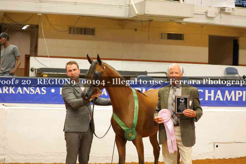 Proof 20_REGION9_00194