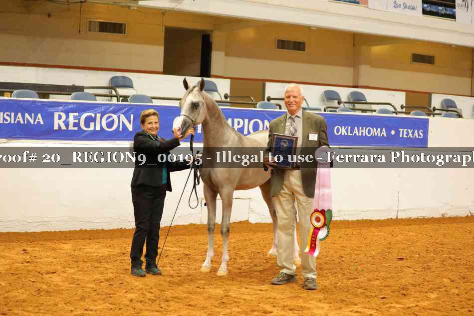 Proof 20_REGION9_00195