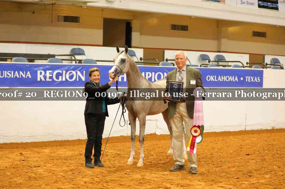 Proof 20_REGION9_00197