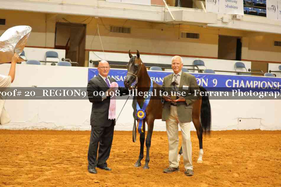 Proof 20_REGION9_00198
