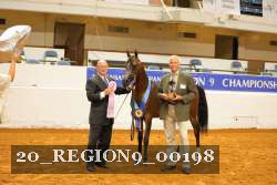 20_REGION9_00198 proof