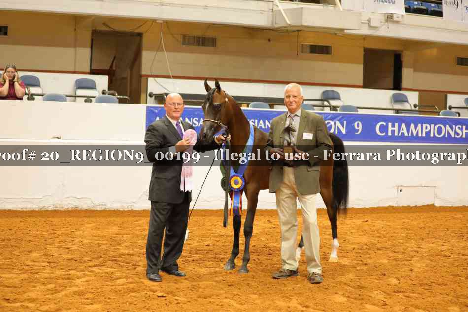 Proof 20_REGION9_00199