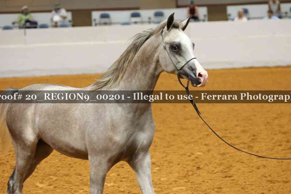 Proof 20_REGION9_00201