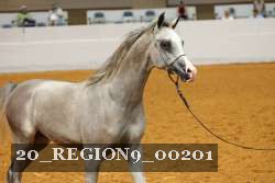 20_REGION9_00201 proof
