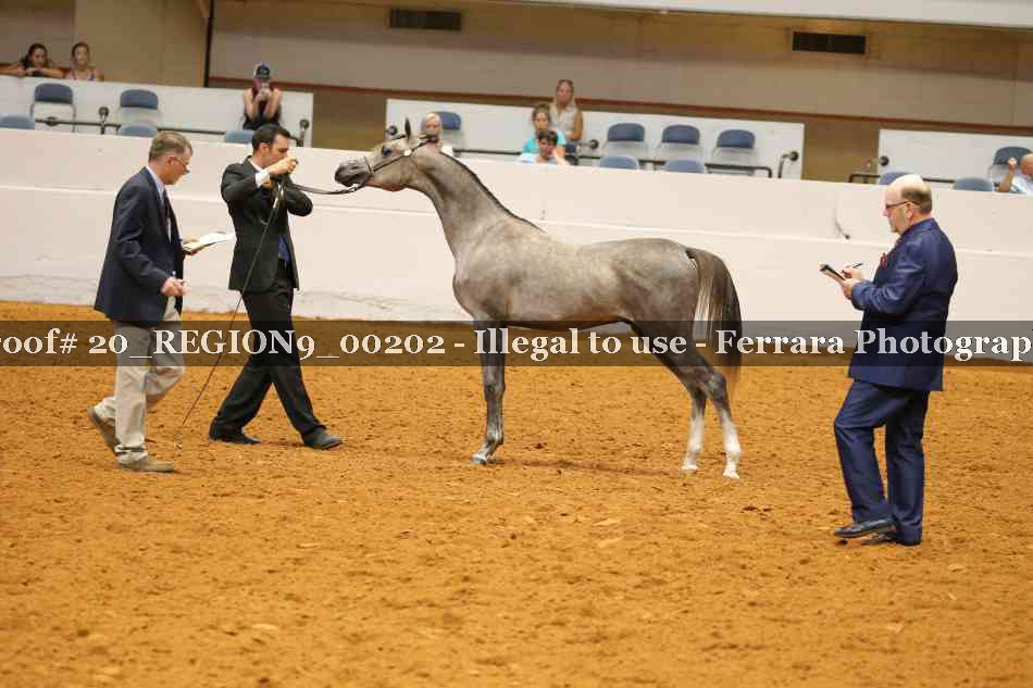Proof 20_REGION9_00202