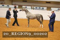 20_REGION9_00202 proof