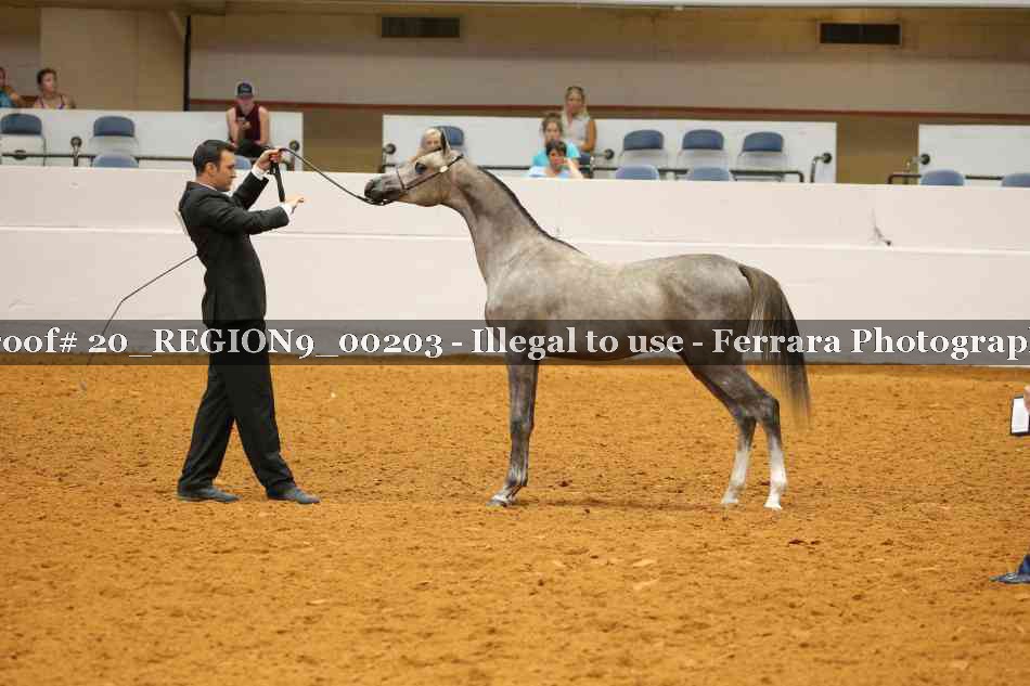 Proof 20_REGION9_00203