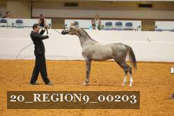 20_REGION9_00203 proof