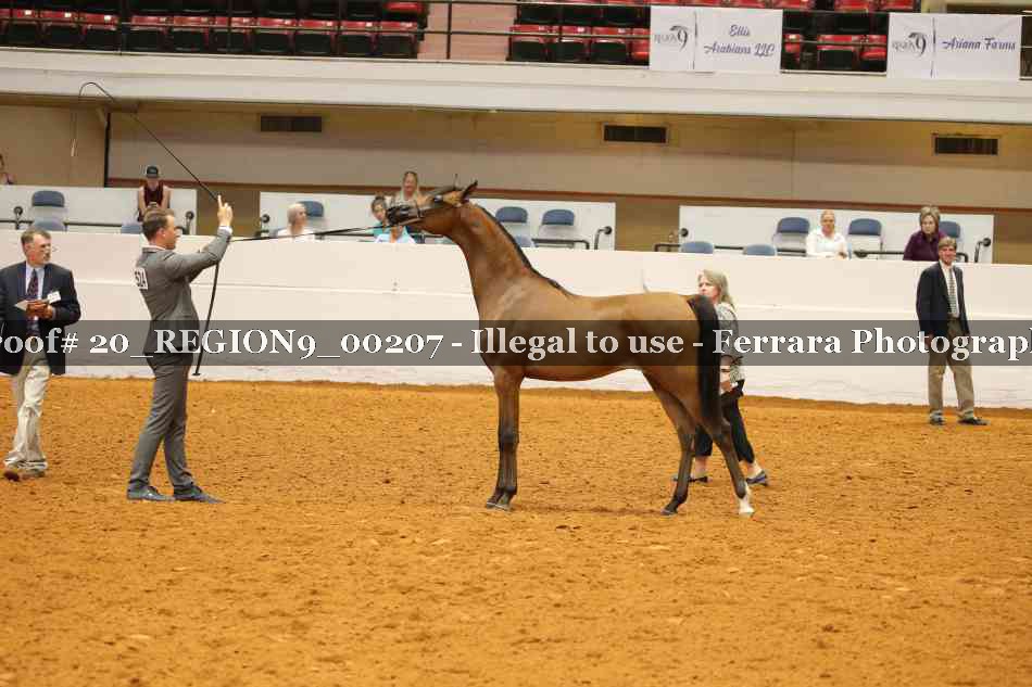 Proof 20_REGION9_00207
