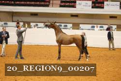 20_REGION9_00207 proof