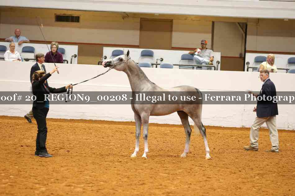 Proof 20_REGION9_00208