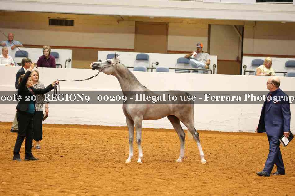 Proof 20_REGION9_00209