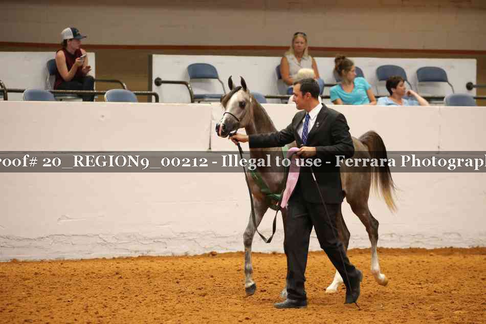 Proof 20_REGION9_00212