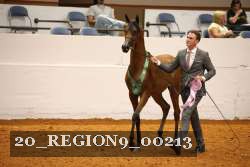 20_REGION9_00213 proof