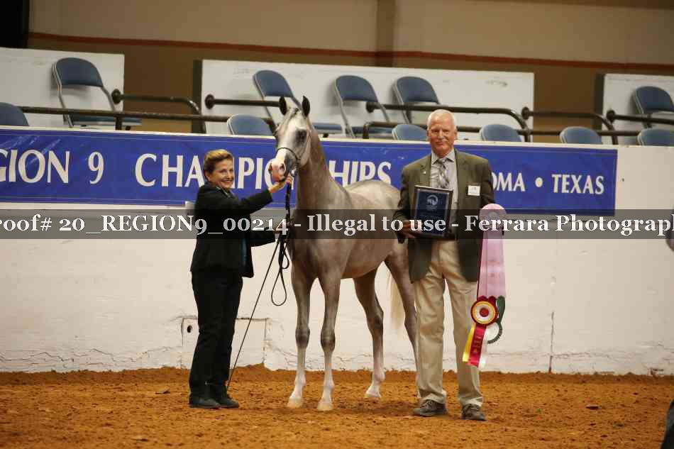Proof 20_REGION9_00214