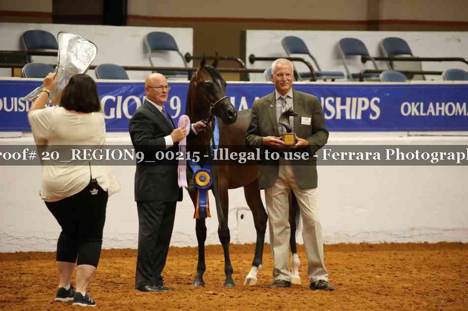 Proof 20_REGION9_00215