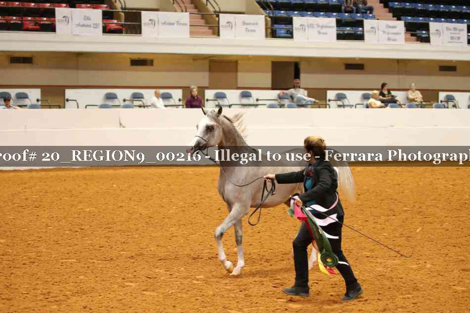 Proof 20_REGION9_00216