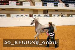 20_REGION9_00216 proof
