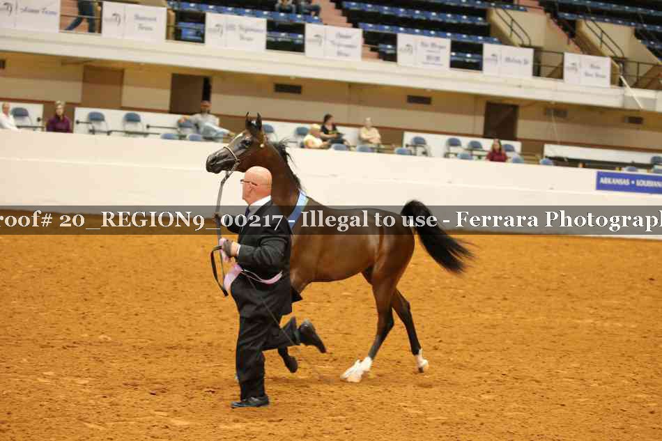 Proof 20_REGION9_00217
