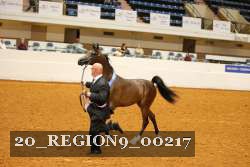 20_REGION9_00217 proof