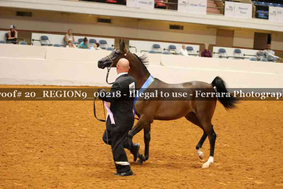 Proof 20_REGION9_00218