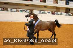 20_REGION9_00218 proof