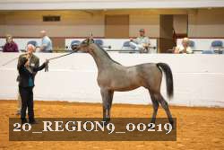 20_REGION9_00219 proof