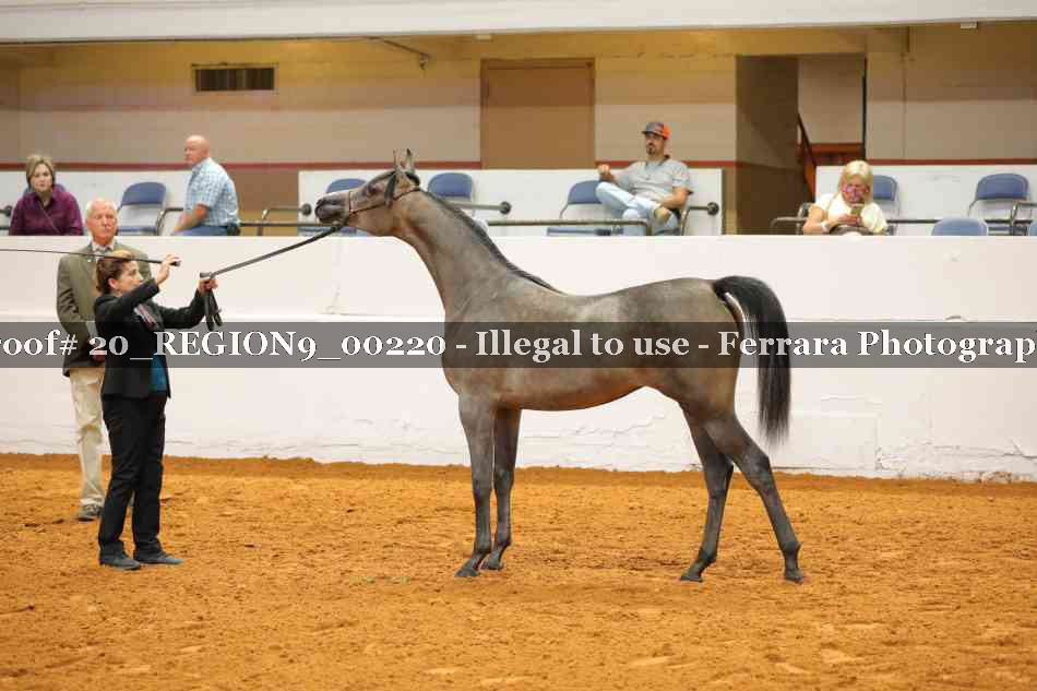 Proof 20_REGION9_00220
