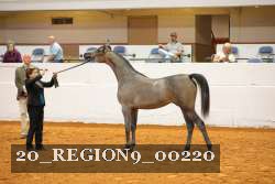 20_REGION9_00220 proof