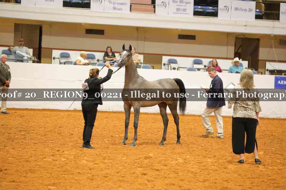 Proof 20_REGION9_00221
