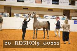 20_REGION9_00221 proof
