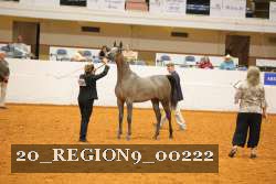 20_REGION9_00222 proof