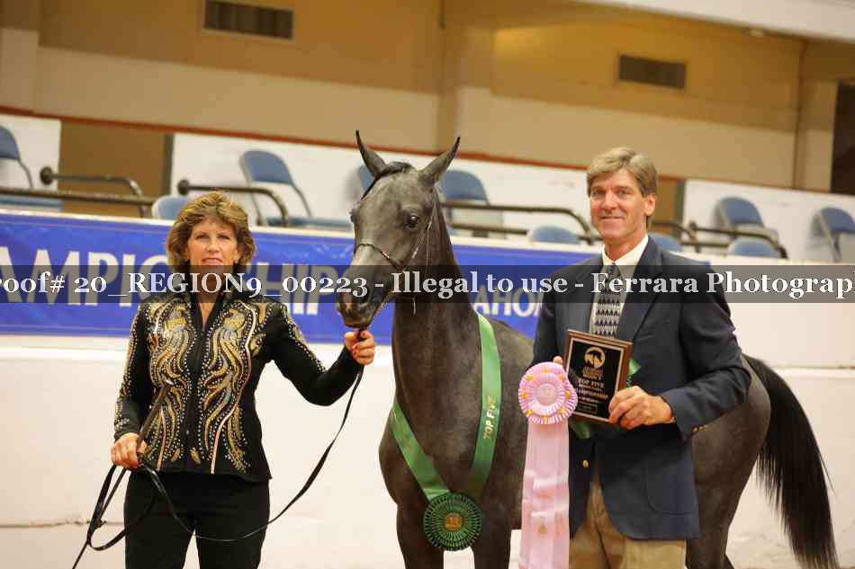 Proof 20_REGION9_00223
