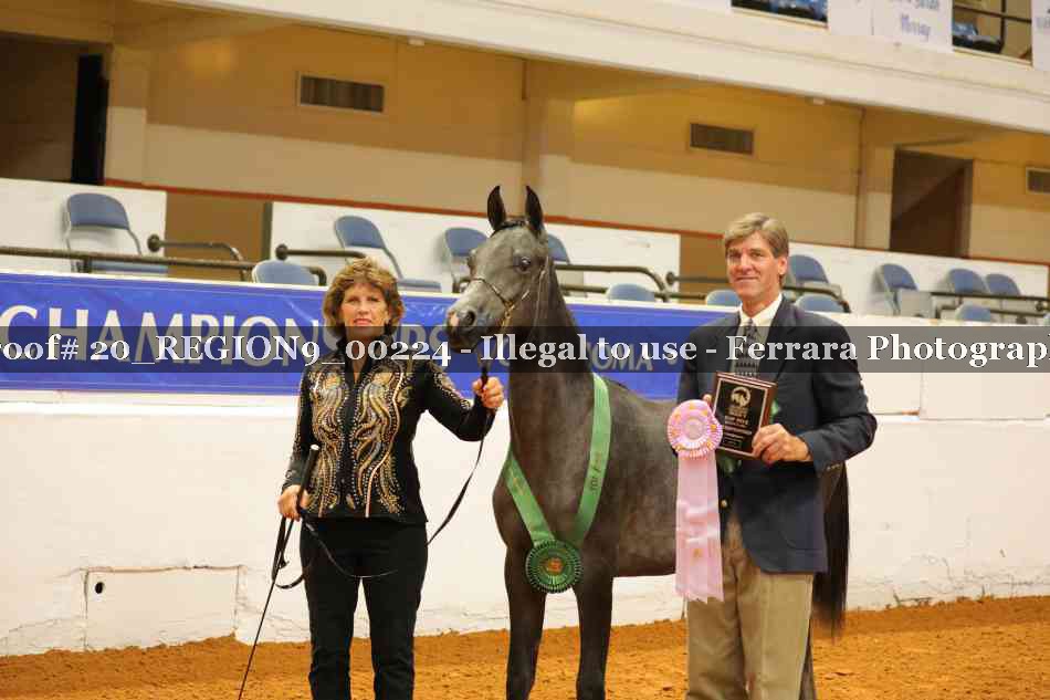 Proof 20_REGION9_00224