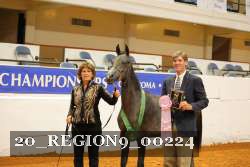 20_REGION9_00224 proof