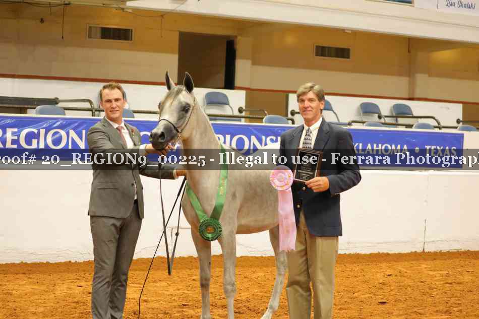 Proof 20_REGION9_00225