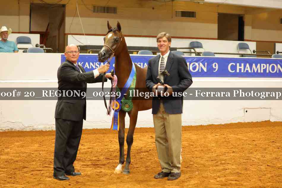 Proof 20_REGION9_00229