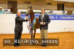 20_REGION9_00229 proof