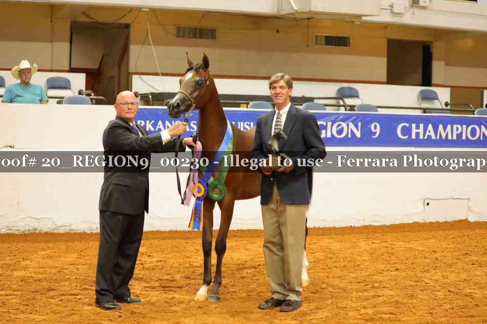 Proof 20_REGION9_00230