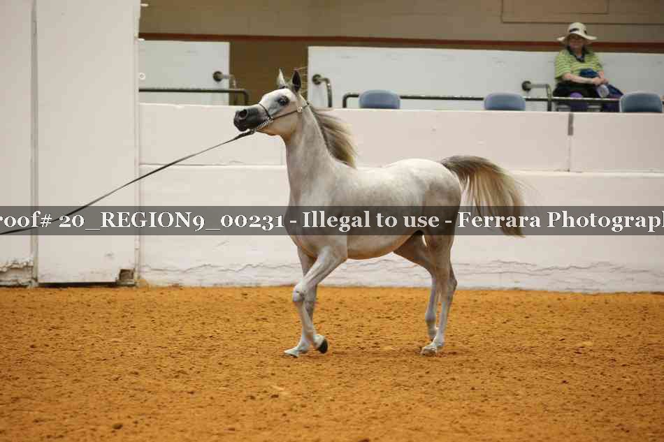 Proof 20_REGION9_00231