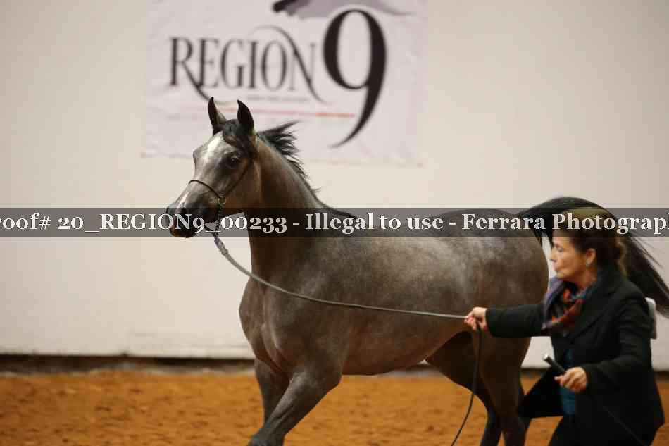 Proof 20_REGION9_00233