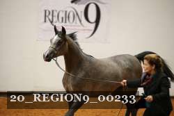 20_REGION9_00233 proof