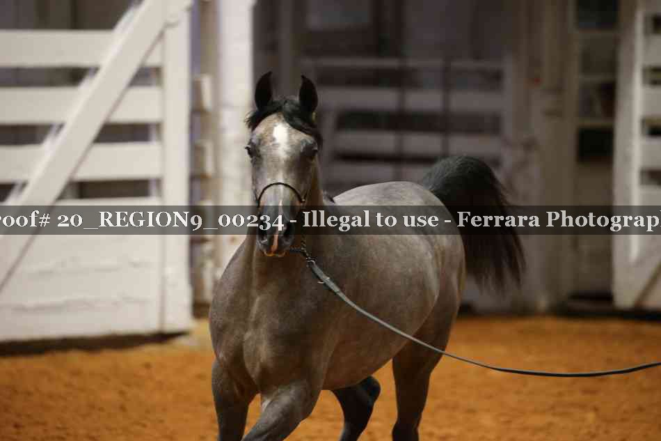 Proof 20_REGION9_00234