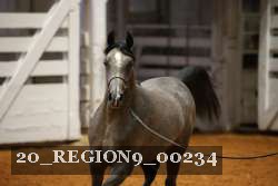 20_REGION9_00234 proof