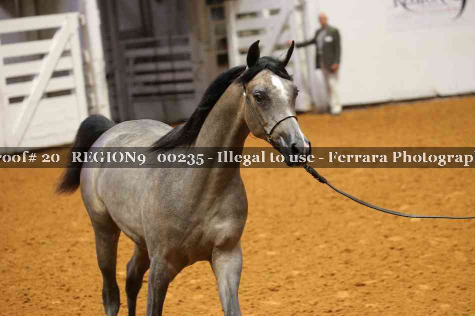 Proof 20_REGION9_00235