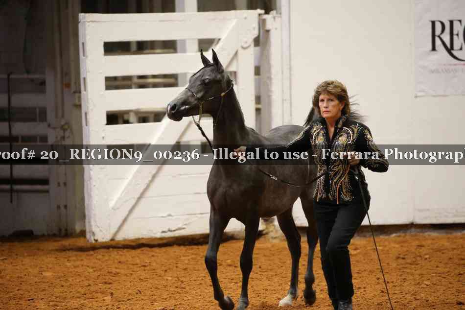 Proof 20_REGION9_00236