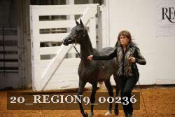 20_REGION9_00236 proof