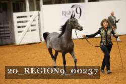 20_REGION9_00237 proof